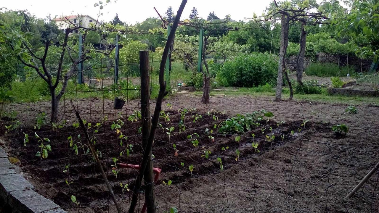 Photo of Outdoor in Gouveia