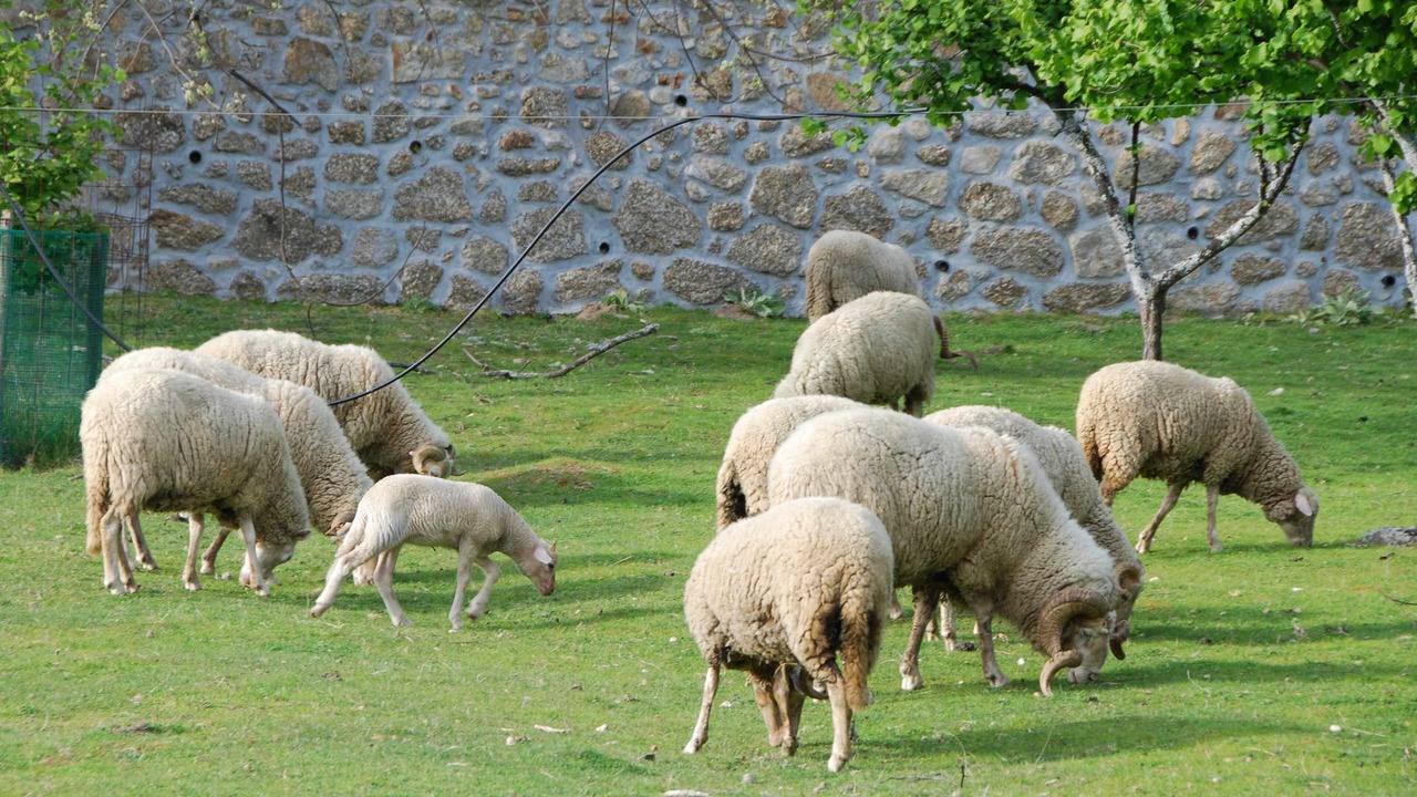 Photo of Outdoor in Gouveia