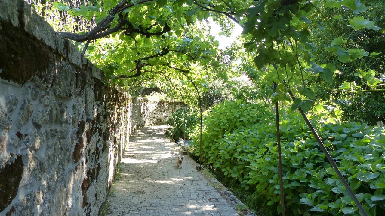 Photo of Outdoor in Gouveia
