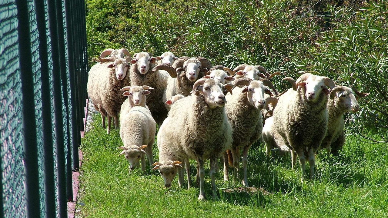 Photo of Outdoor in Gouveia