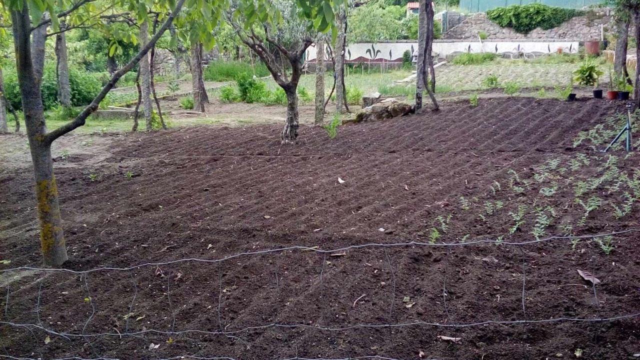 Photo of Outdoor in Gouveia