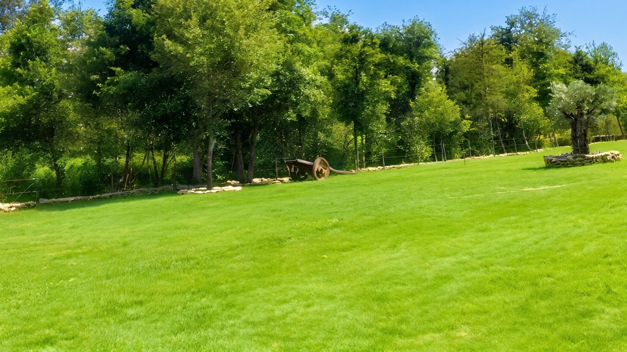 Photo of Outdoor in Moimenta da Beira