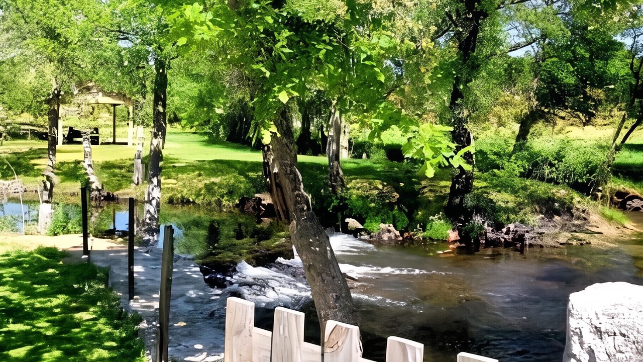 Photo of Outdoor in Moimenta da Beira