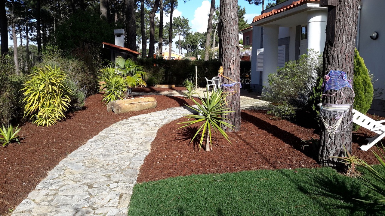 Photo of Outdoor in Charneca de Caparica e Sobreda