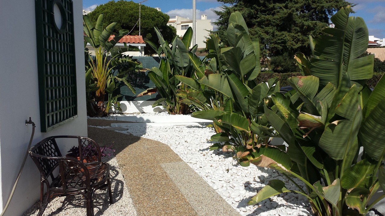 Photo of Outdoor in Areias de Sao Joao
