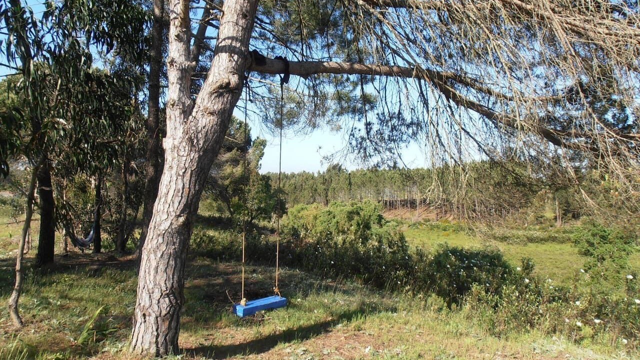 Photo of Outdoor in Baiona