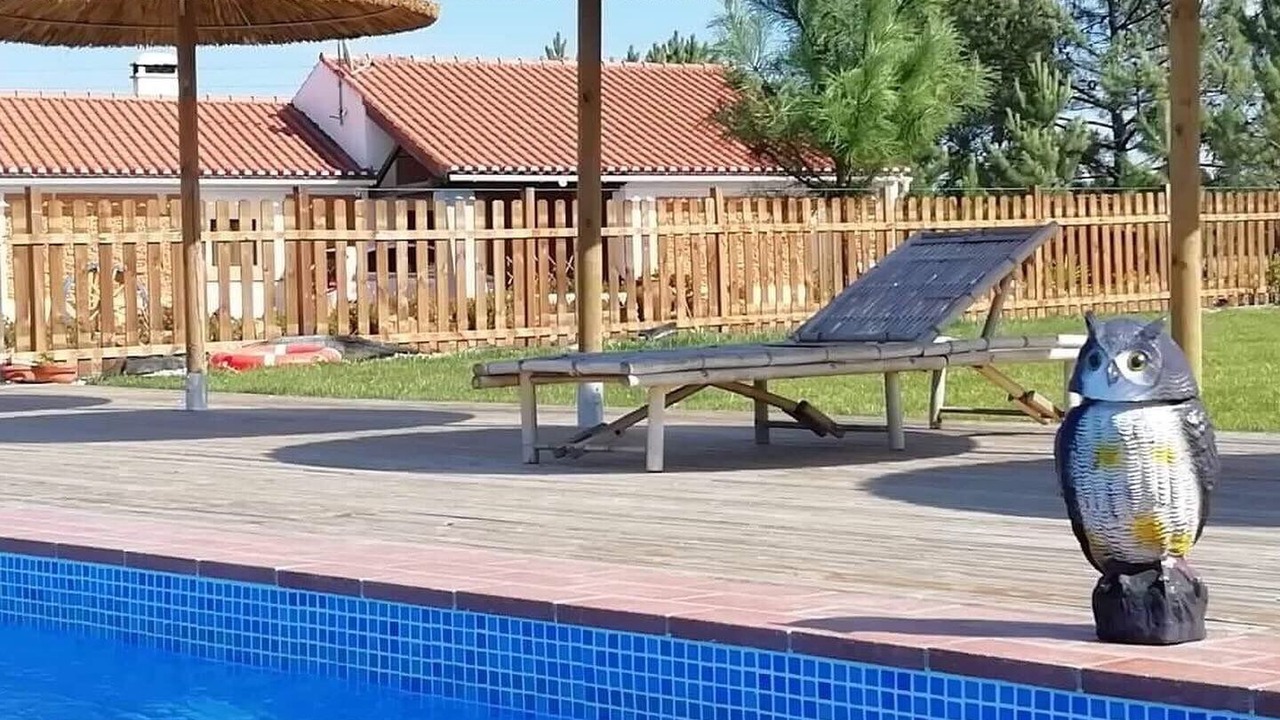 Photo of Outdoor in Baiona