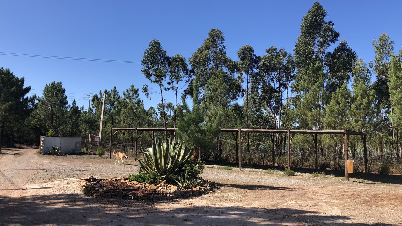 Photo of Outdoor in Baiona