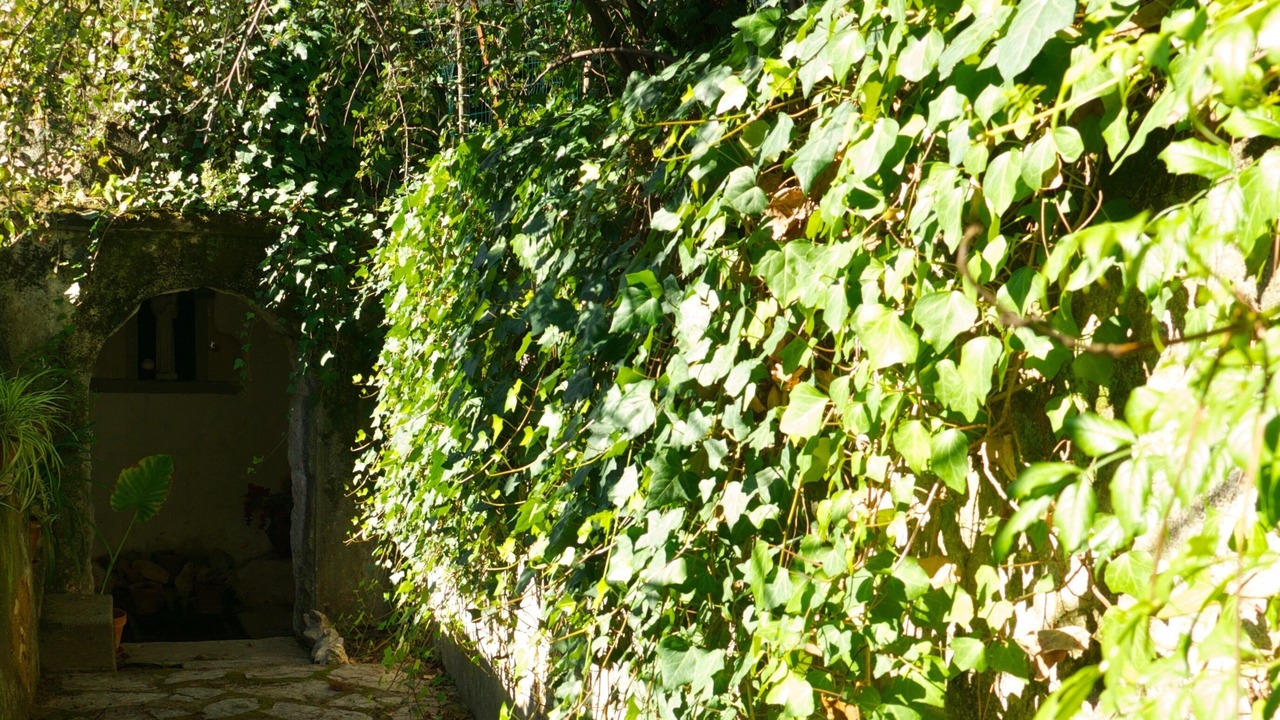 Photo of Outdoor in Torres Novas