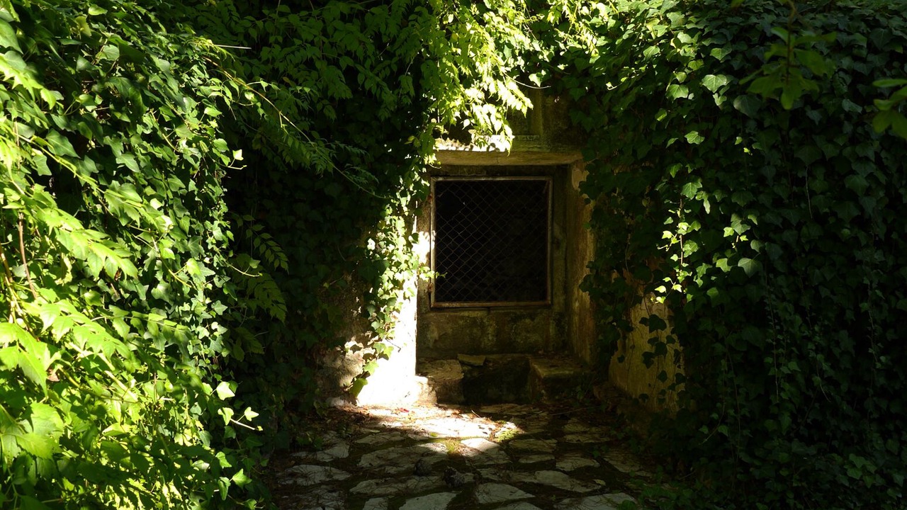 Photo of Outdoor in Torres Novas