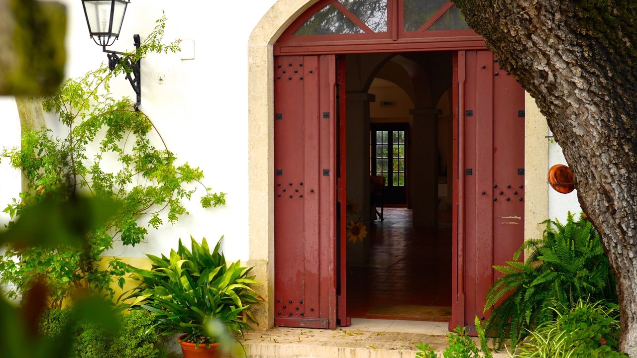 Photo of Outdoor in Torres Novas