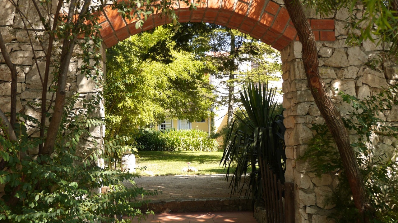 Photo of Outdoor in Torres Novas