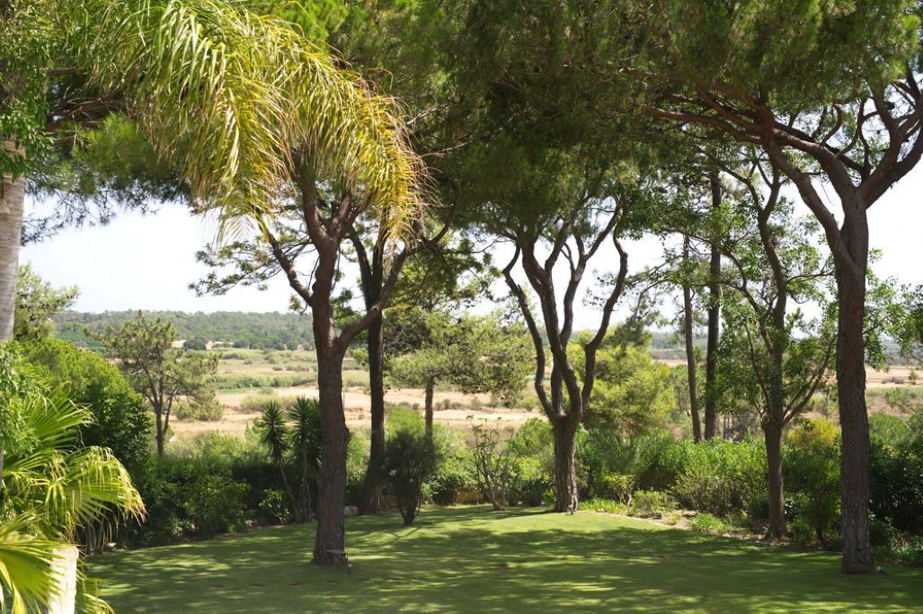 Photo of Outdoor in Almancil