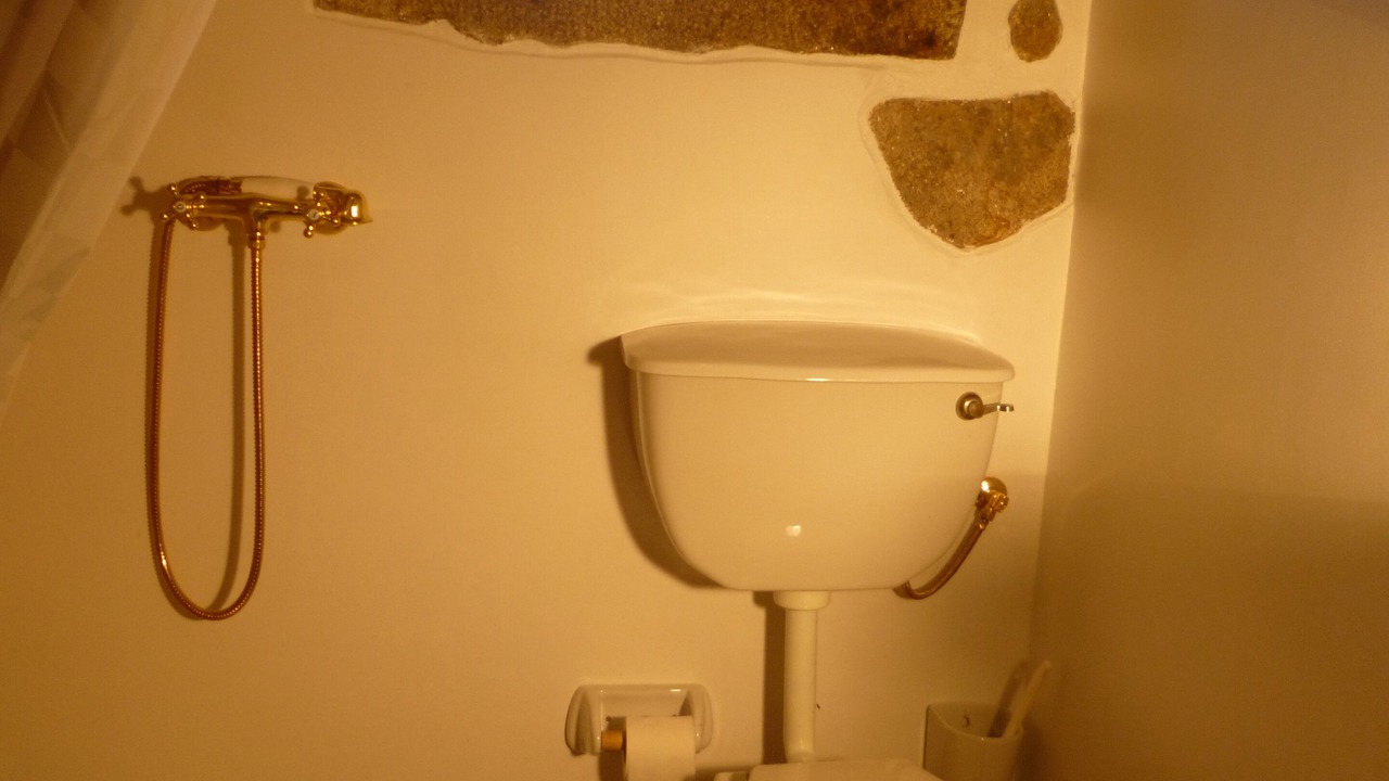 Photo of Bathroom in Estoraos