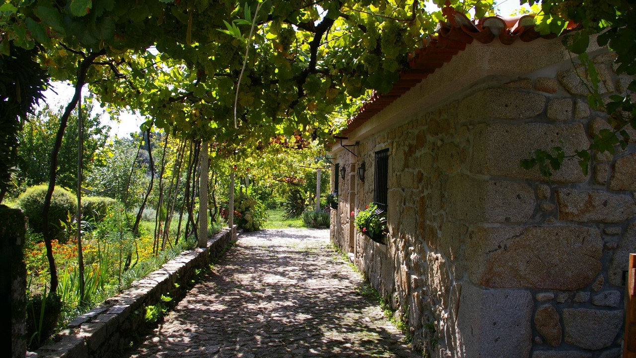 Photo of Outdoor in Estoraos