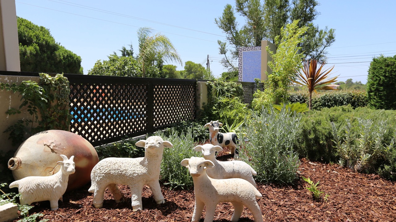 Photo of Outdoor in Caramujeira