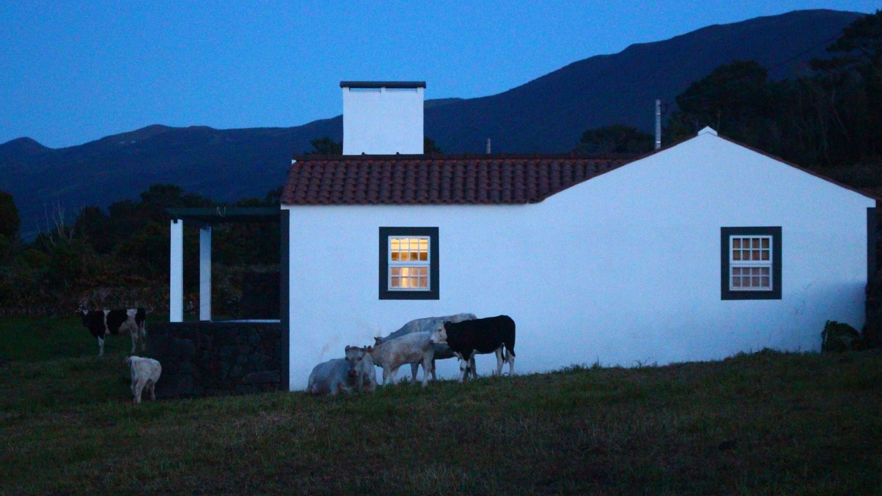 Photo of Outdoor in Sao Roque do Pico
