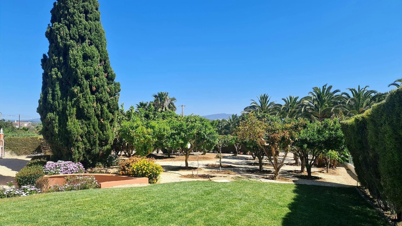 Photo of Outdoor in Alfarrobeira
