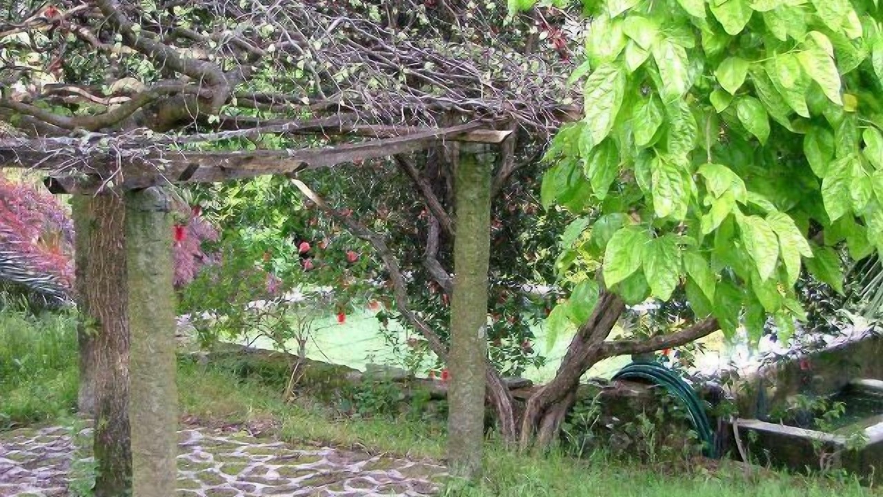 Photo of Outdoor in Perre