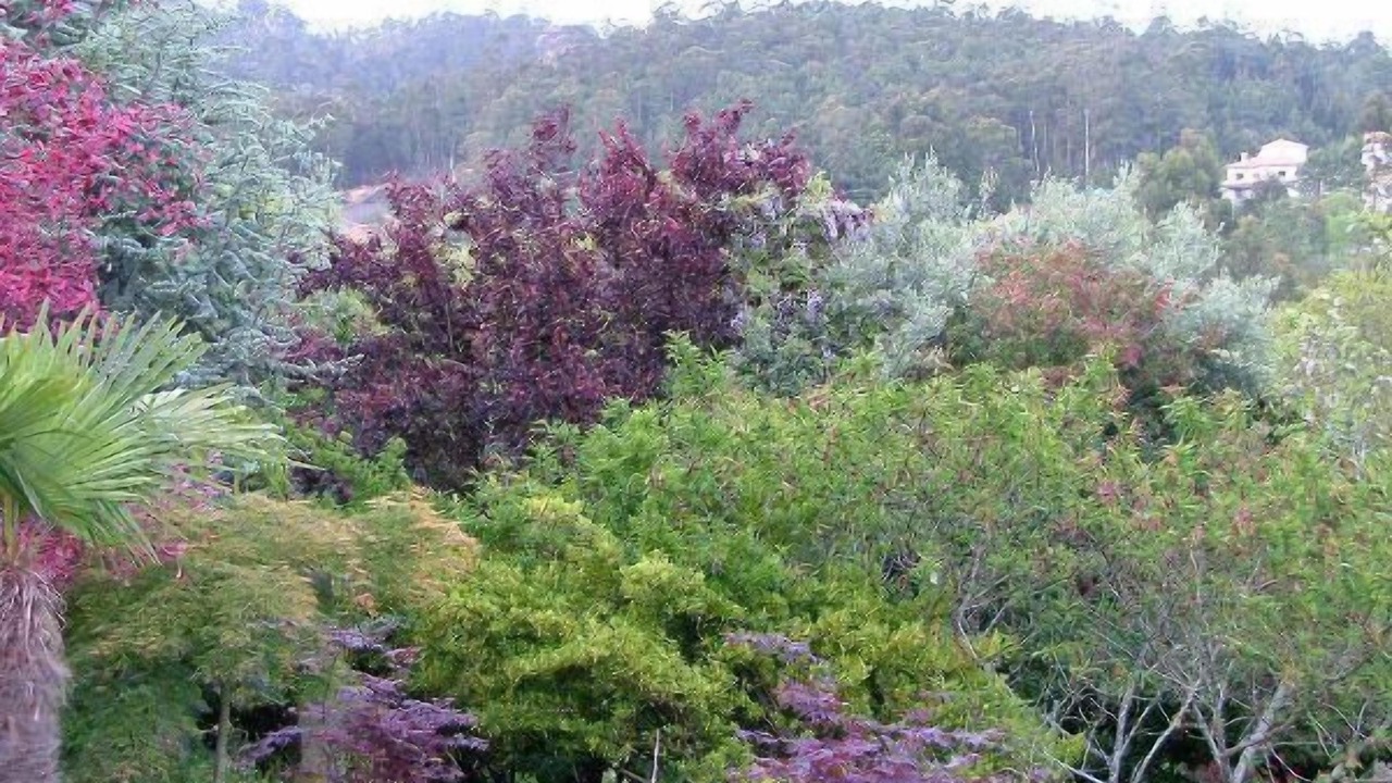 Photo of Outdoor in Perre