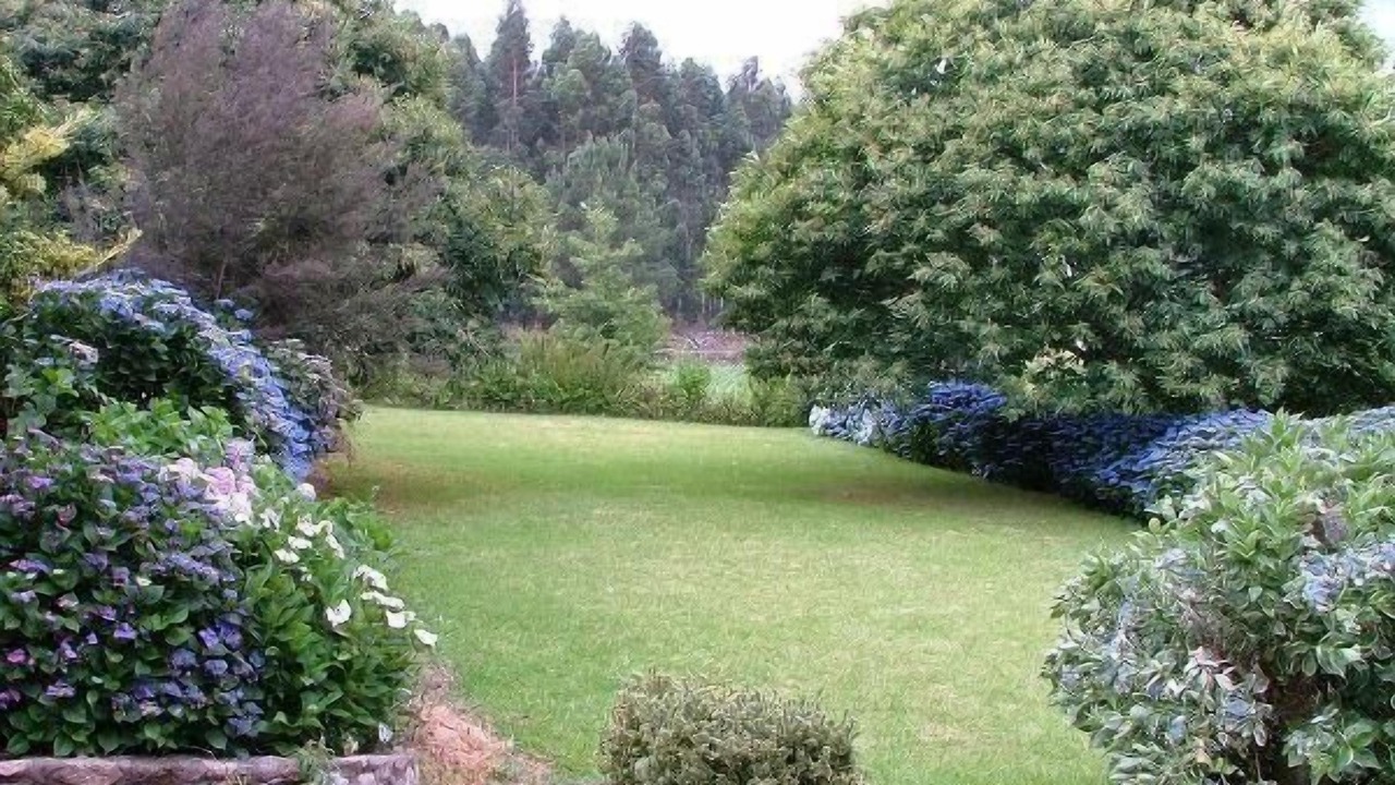 Photo of Outdoor in Perre