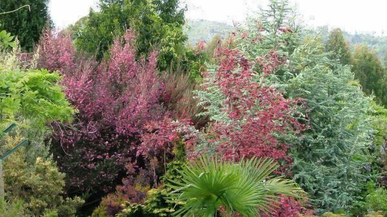 Photo of Outdoor in Perre