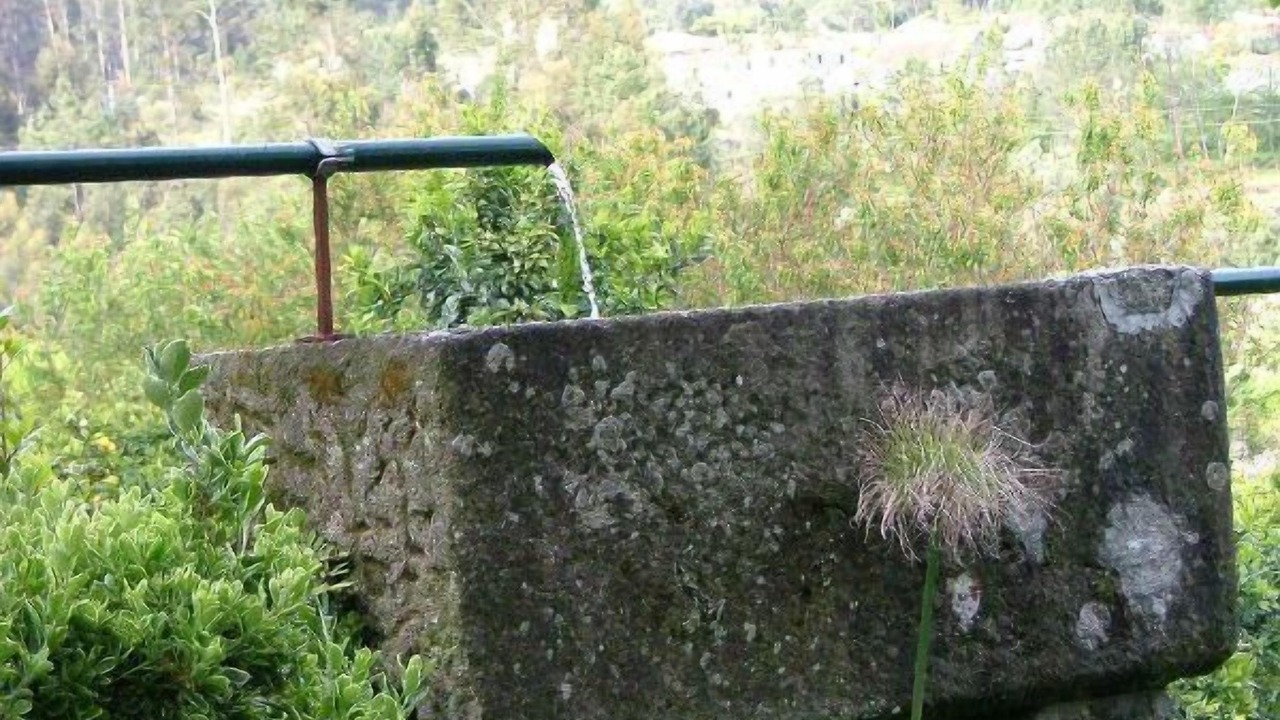 Photo of Outdoor in Perre