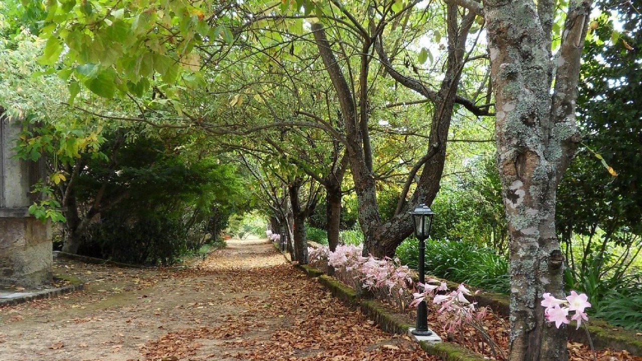 Photo of Outdoor in Perre
