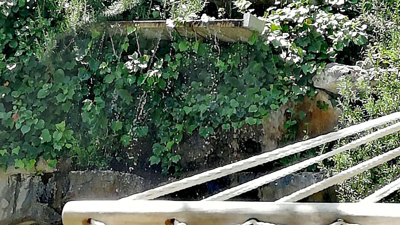 Photo of Outdoor in Bombarral