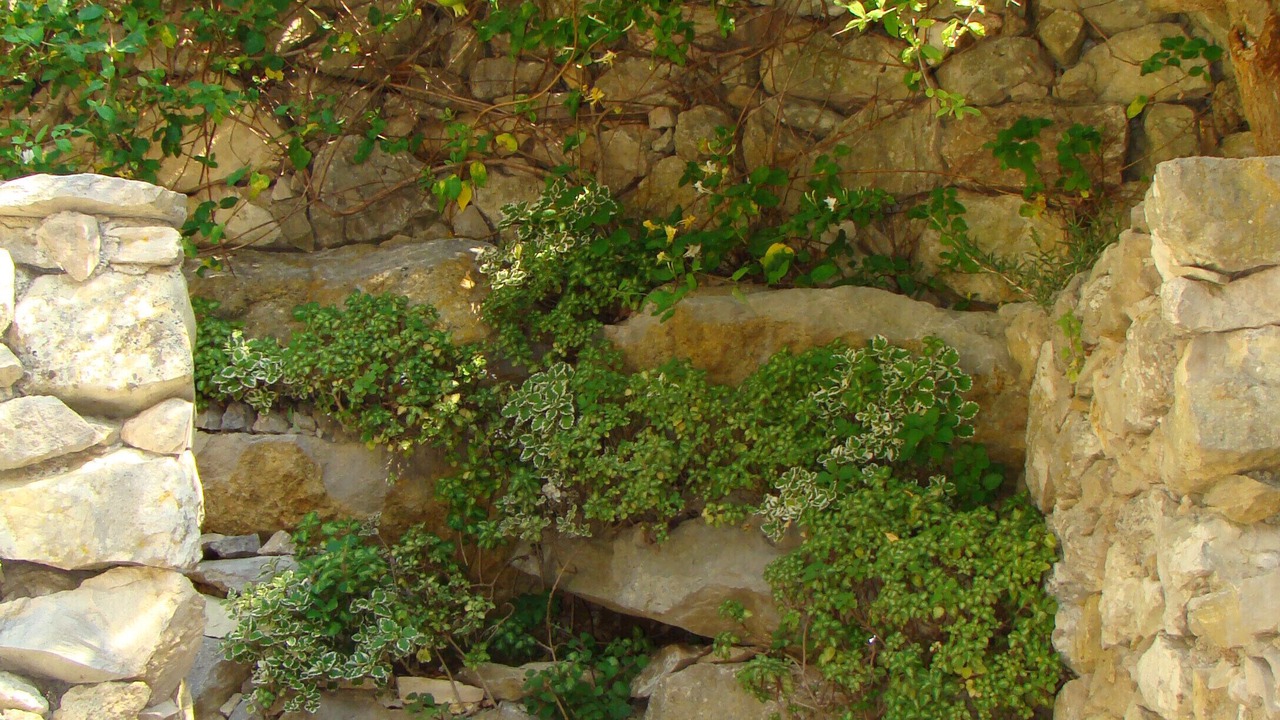 Photo of Outdoor in Bombarral