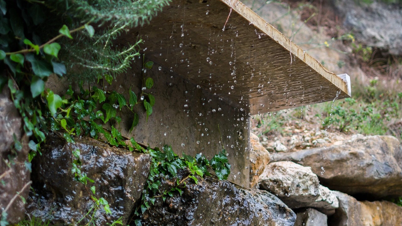 Photo of Outdoor in Bombarral