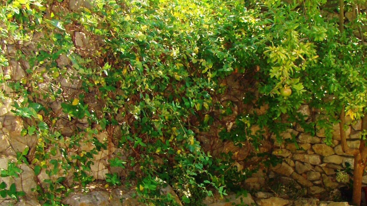 Photo of Outdoor in Bombarral