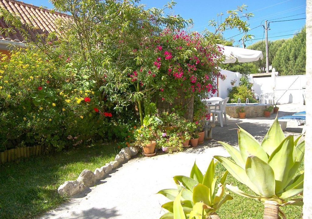 Photo of Outdoor in Reguengo Grande