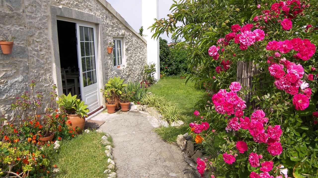 Photo of Outdoor in Reguengo Grande