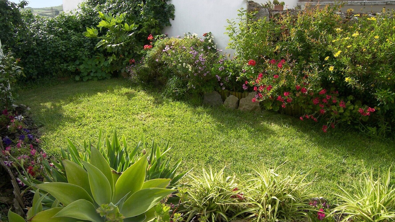 Photo of Outdoor in Reguengo Grande