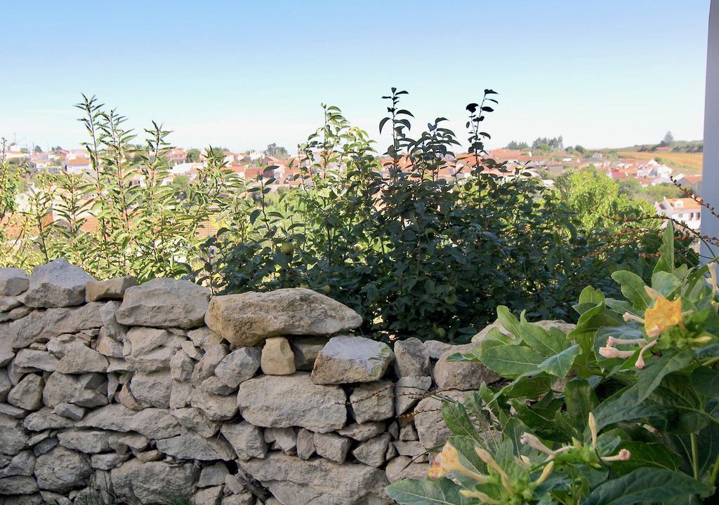 Photo of Outdoor in Reguengo Grande