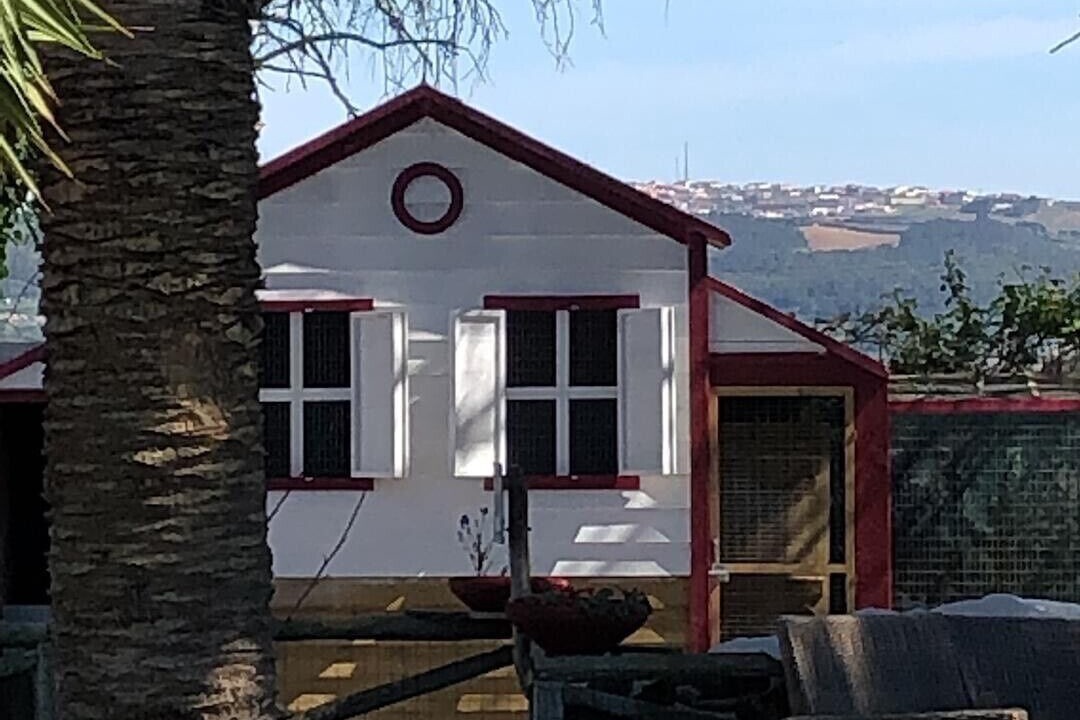 Photo of Outdoor in Olho Marinho