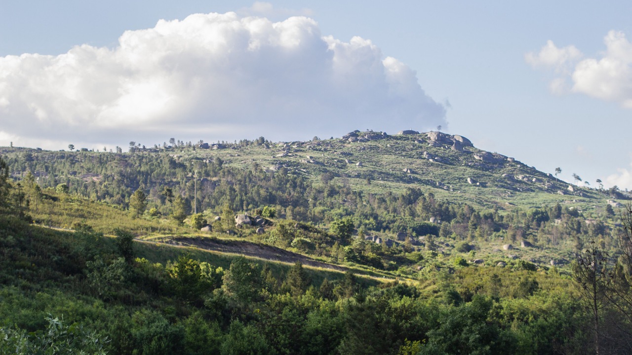 Photo of Others in Fornos de Algodres