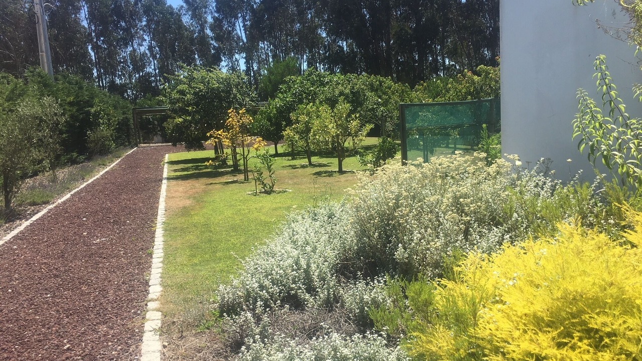 Photo of Outdoor in Sao Luis