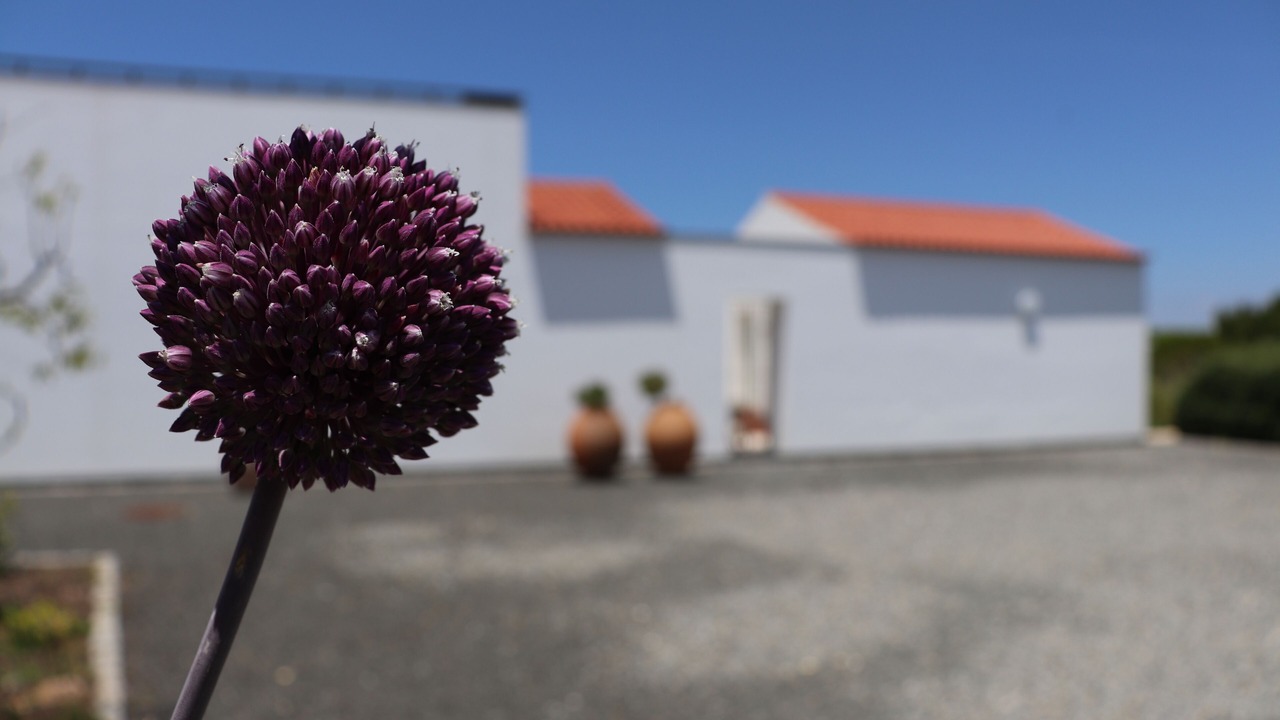 Photo of Outdoor in Sao Luis