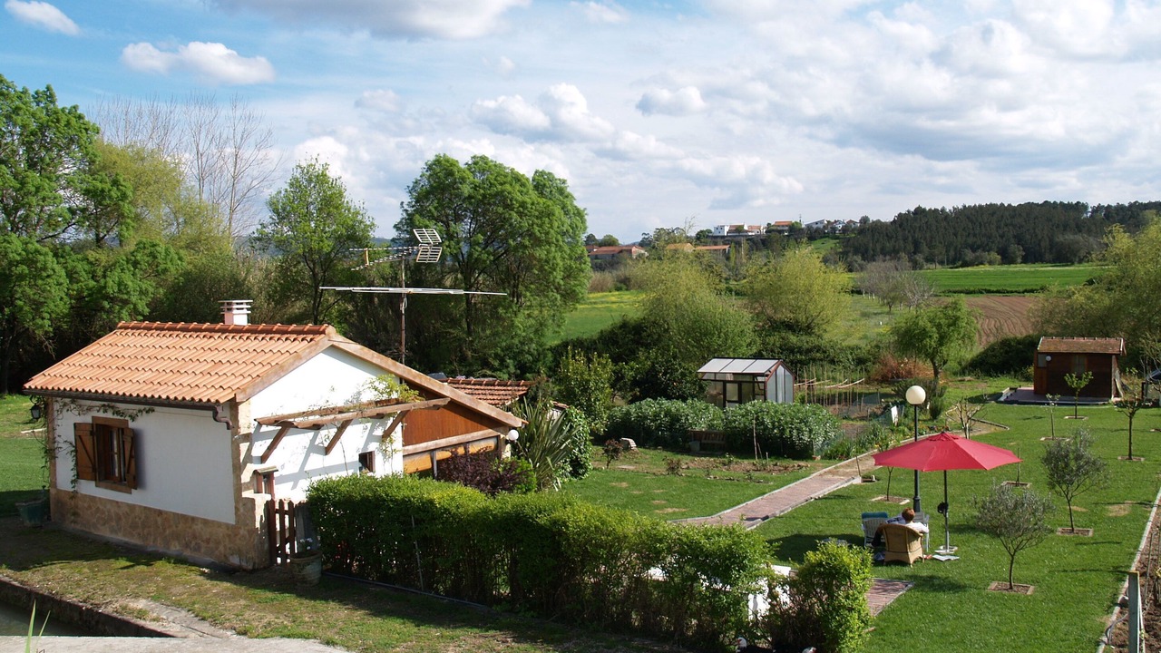 Photo of Others in Soure