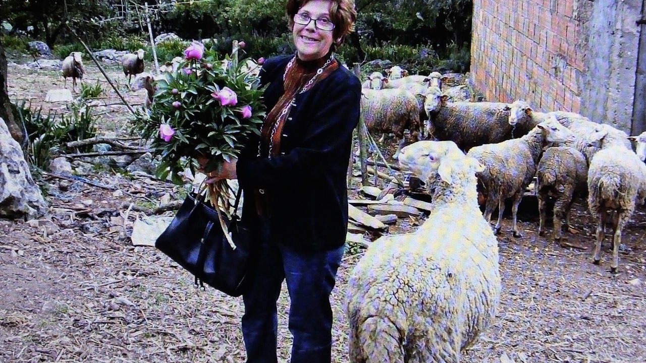 Photo of Others in Soure