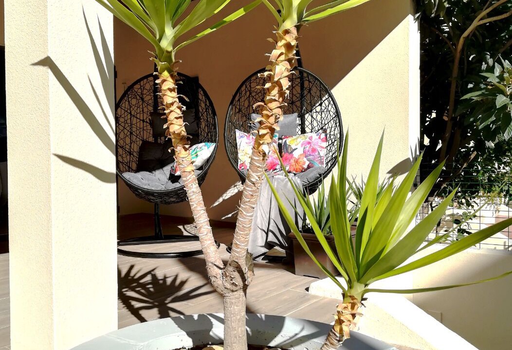 Photo of Patio Balcony in Ameijeira