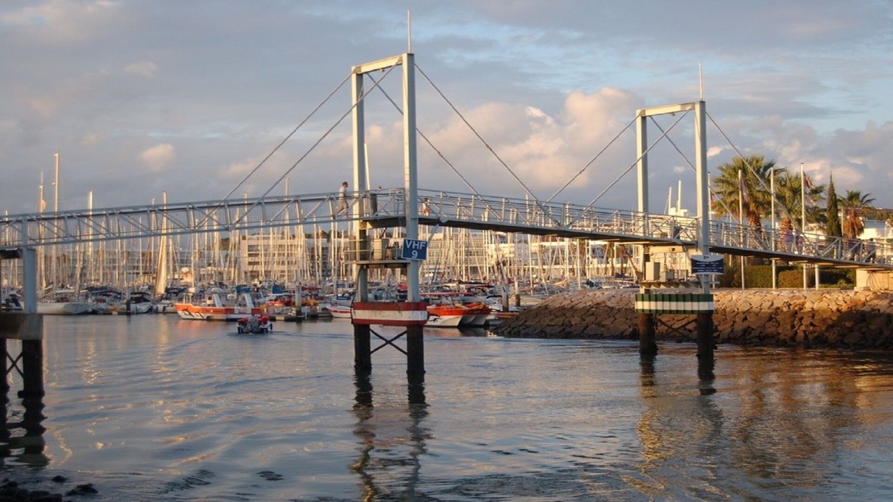 Photo of Others in Ameijeira