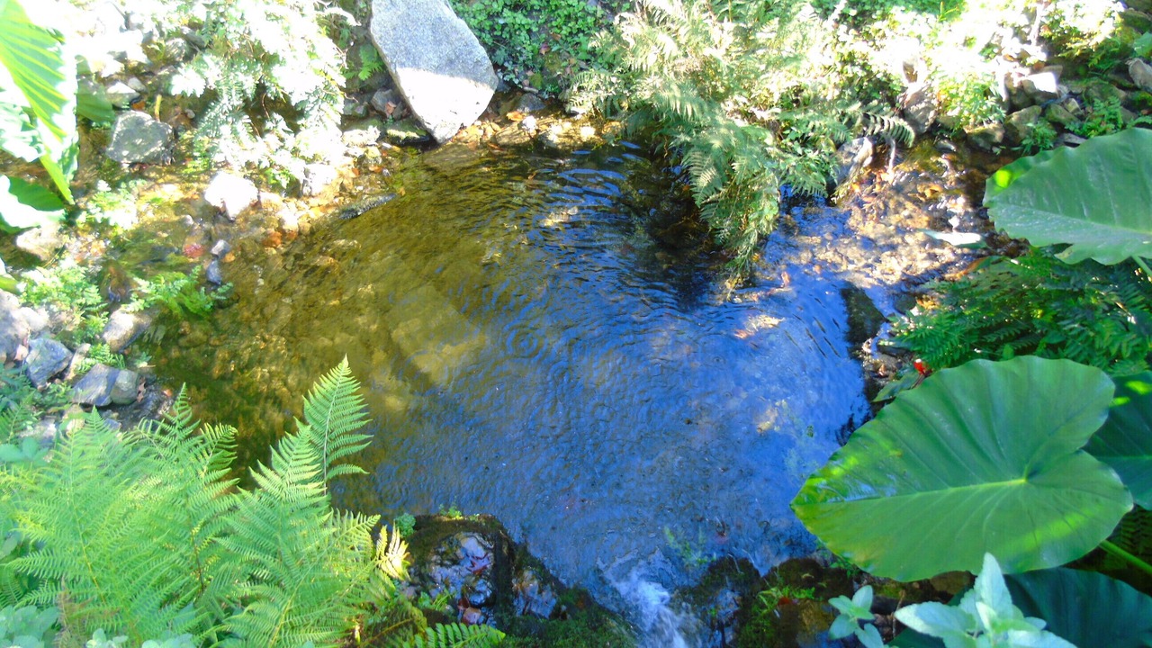 Photo of Outdoor in Molares