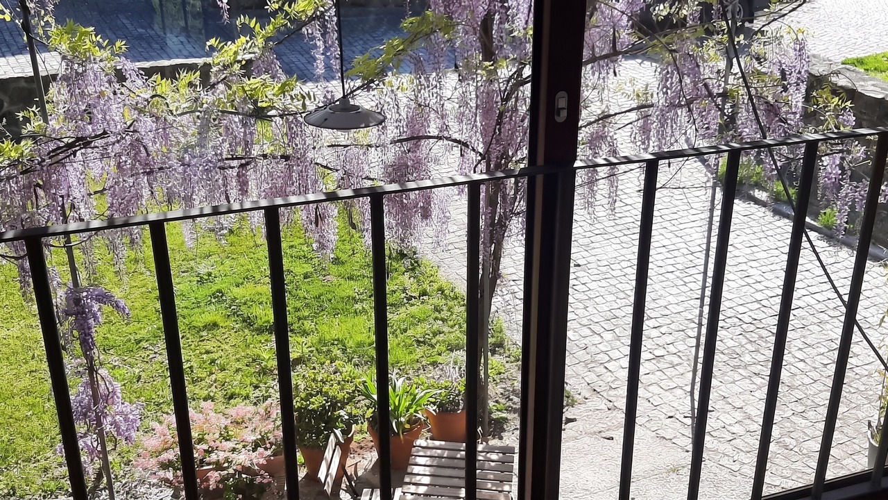 Photo of Outdoor in Povoa de Lanhoso