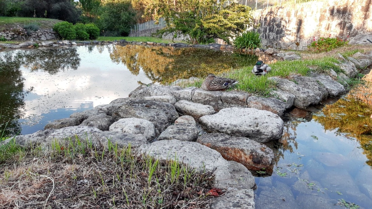 Photo of Outdoor in Povoa de Lanhoso