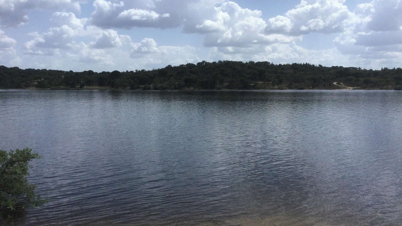 Photo of Others in Mora