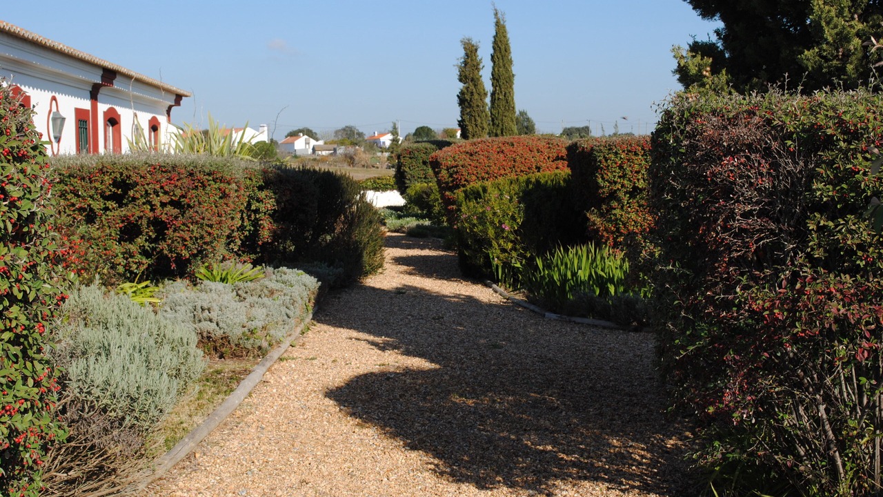Photo of Outdoor in Montemor-o-Novo