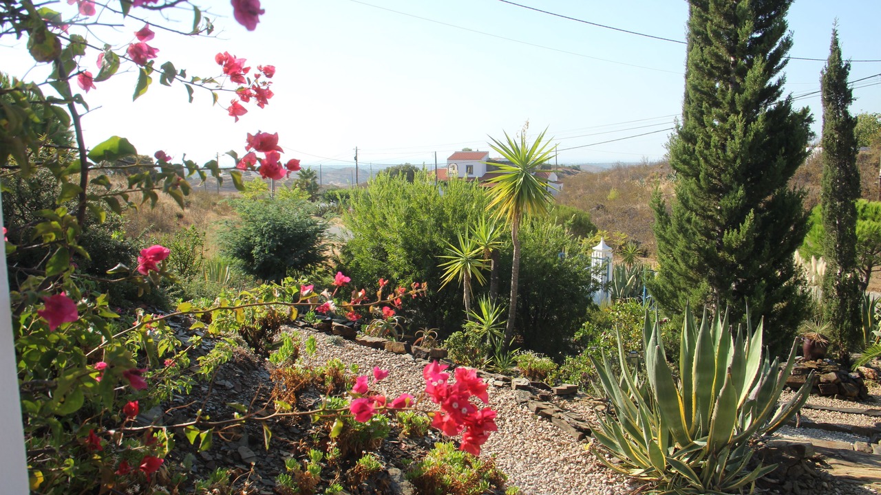 Photo of Outdoor in Conceicao